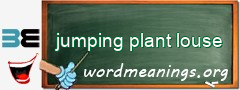 WordMeaning blackboard for jumping plant louse